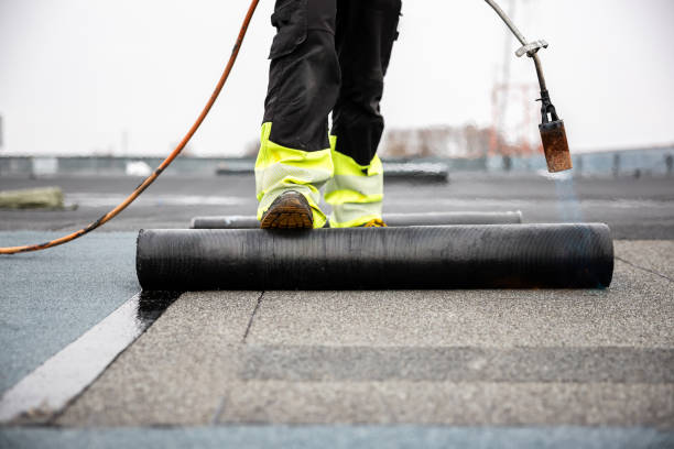 Best Roof Leak Repair  in Edina, MO